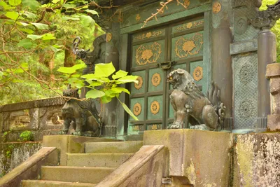 DSC_3894 (Large).JPG